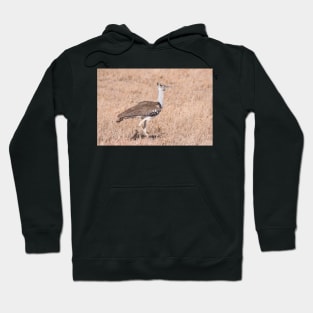 Cory Bustard Hoodie